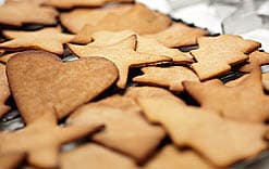 VeganPepparkakor Fredrik Schelin