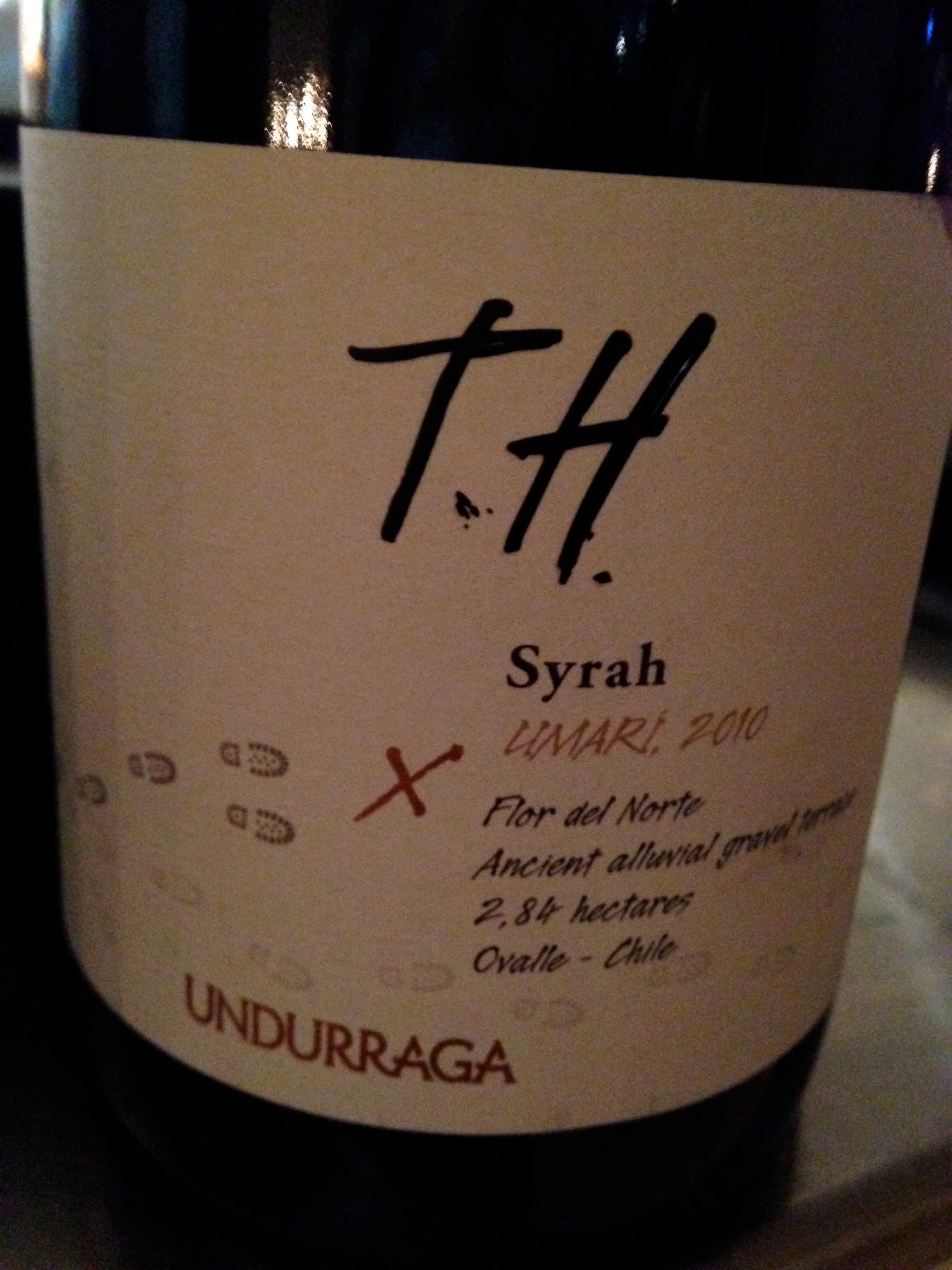 bild på Undurraga – Terroir Hunter i Chile