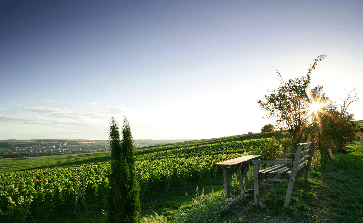 bild på Tyska mästaren 2014 på besök – Philipp Wittmann