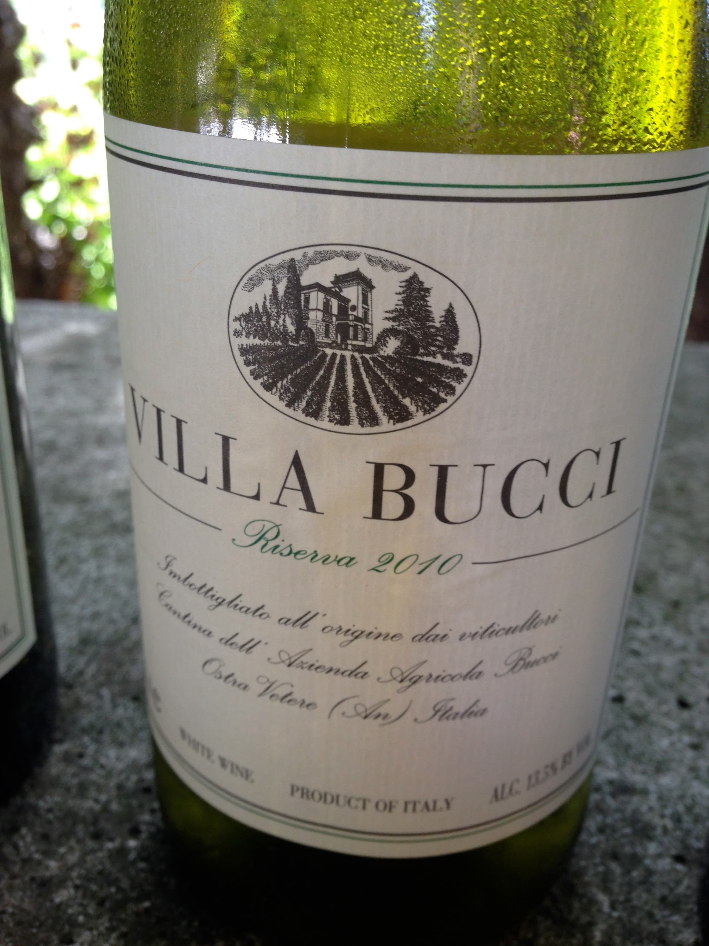 bild på Verdicchio – det gröna guldet från Marche