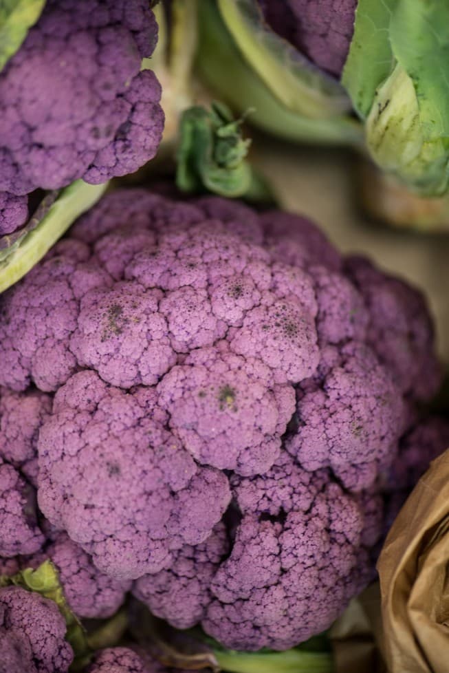 Meatless Monday med Falafel