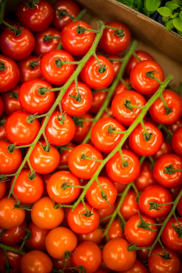 bild på Sista sucken för tomaterna.