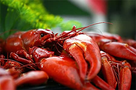 egen lag, kräftor, kärlek, kräftskiva