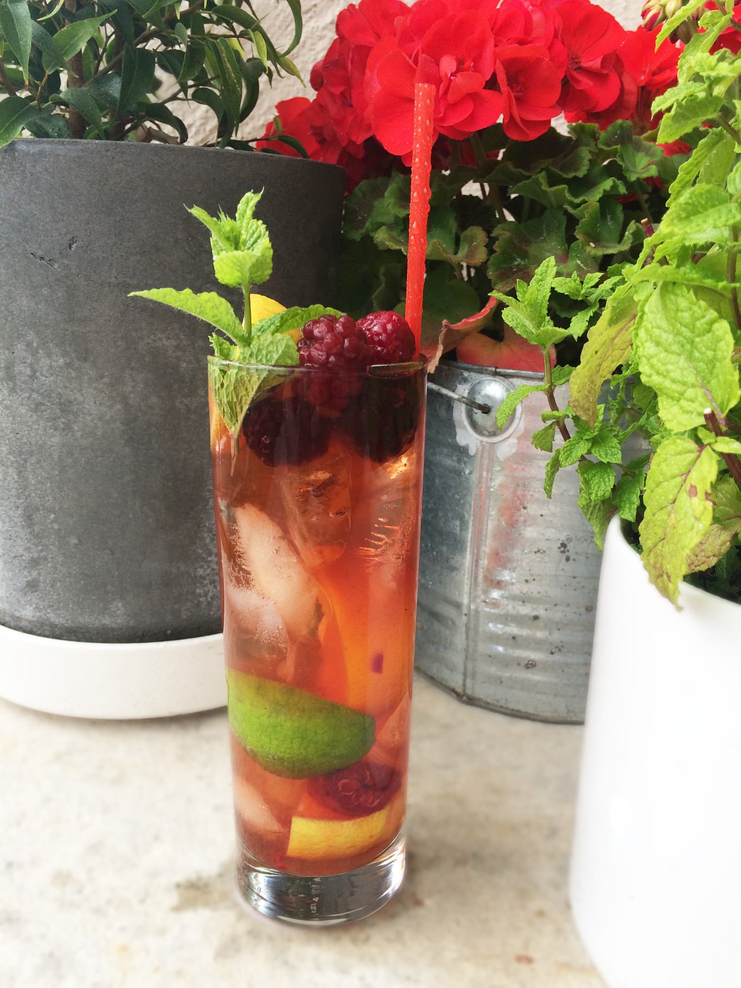 bild på The Sherry Cobbler – en lång historia