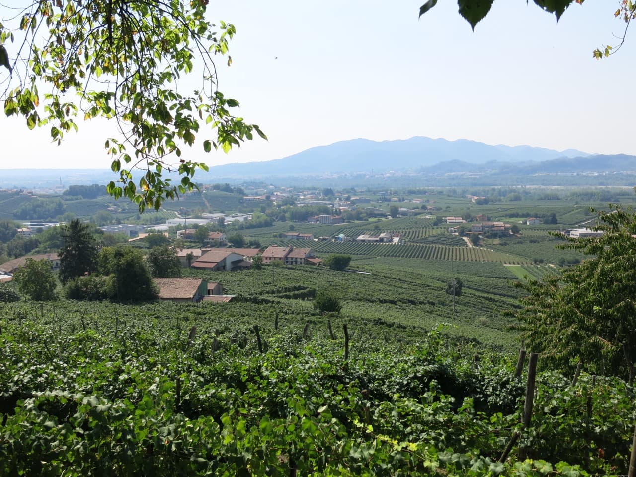 Bild från DinVinGuide