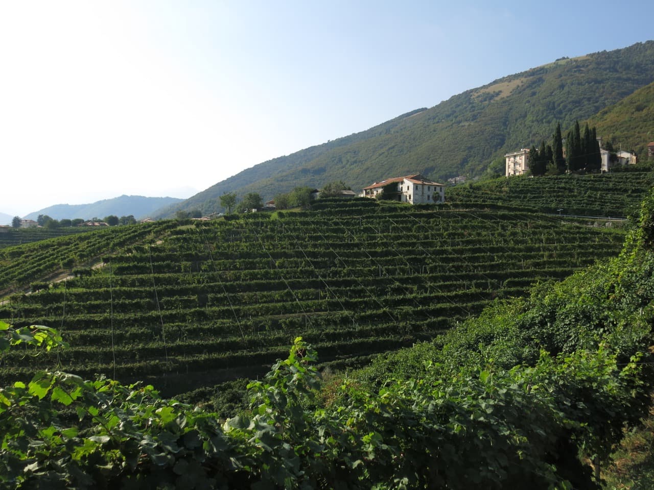 Bild från DinVinGuide