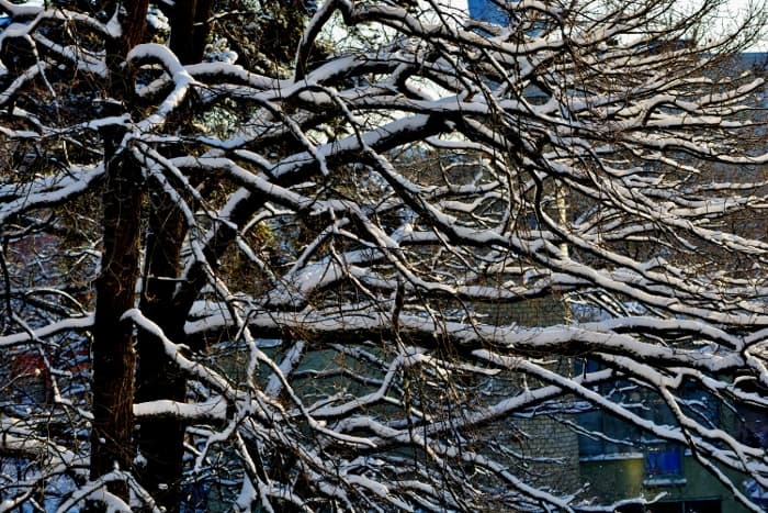 Kärlek het som chili med tyskt vitt vin