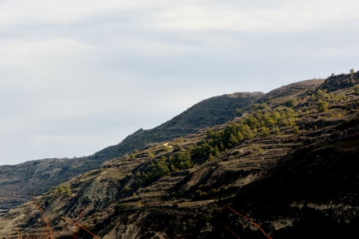 Vintips och mattips om du ska till Cypern