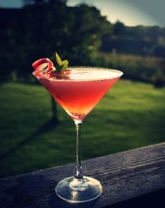 Bild på Rabarber- och myntacocktail