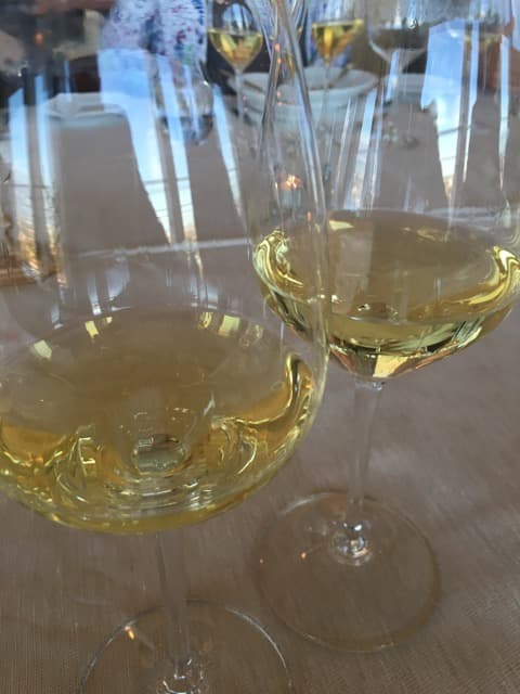 Bild från DinVinGuide