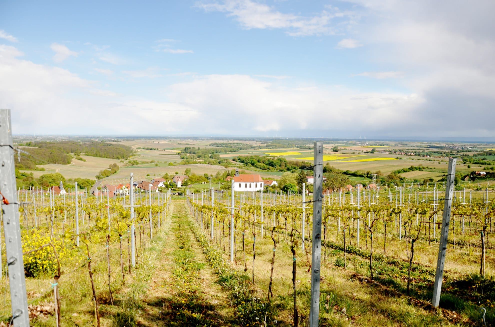 DinVinguide.se vingård