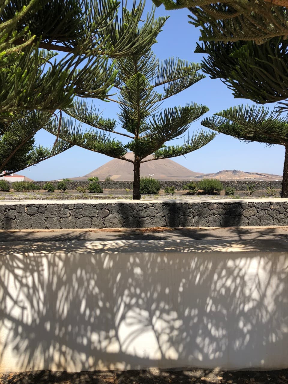 Lanzarote - en vulkanö det bubblar om