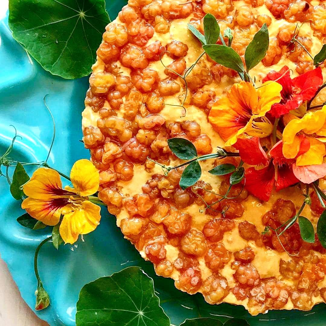 bild på Hjortroncheesecake med smak av pomerans