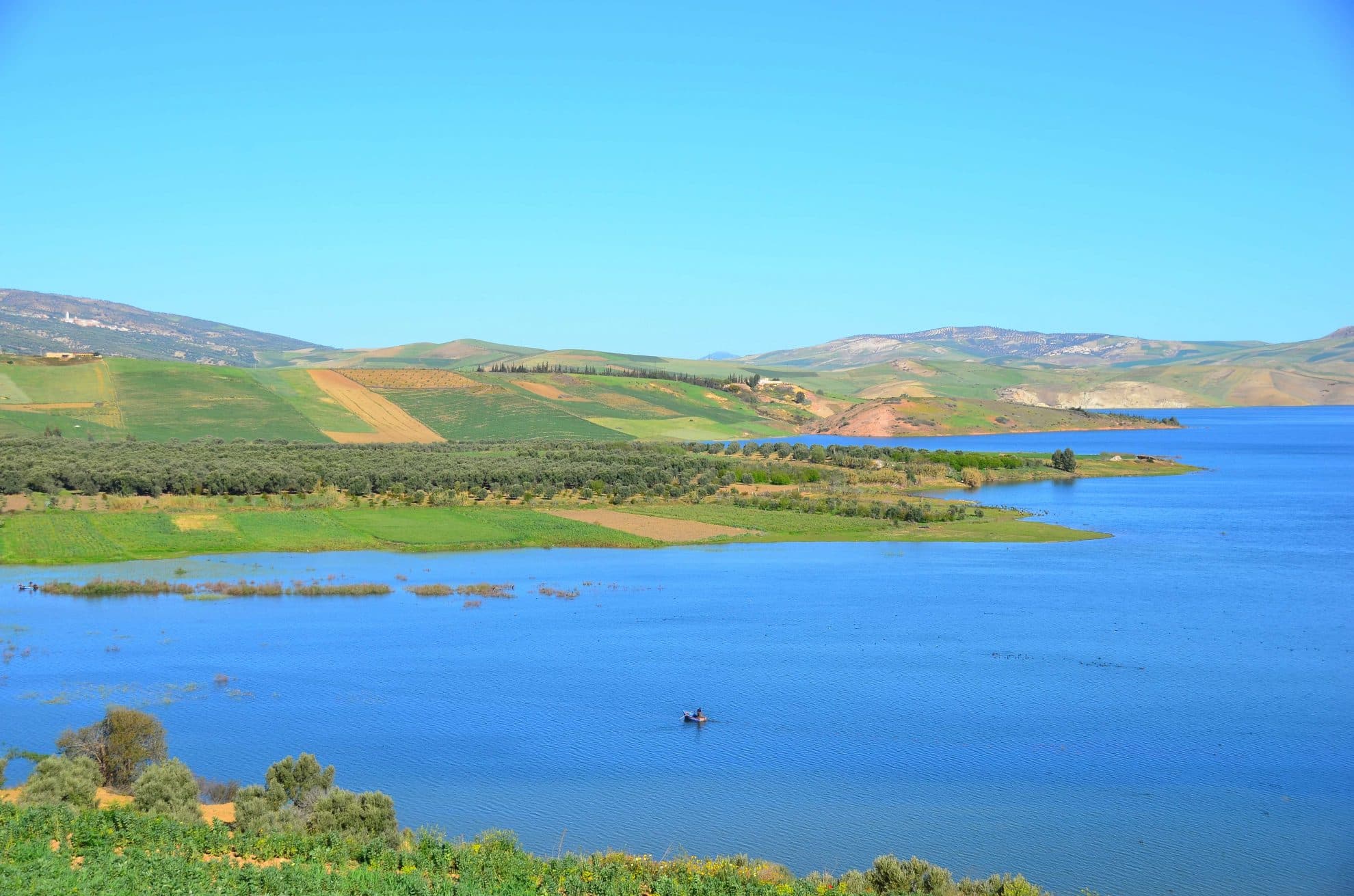 Bild från DinVinGuide