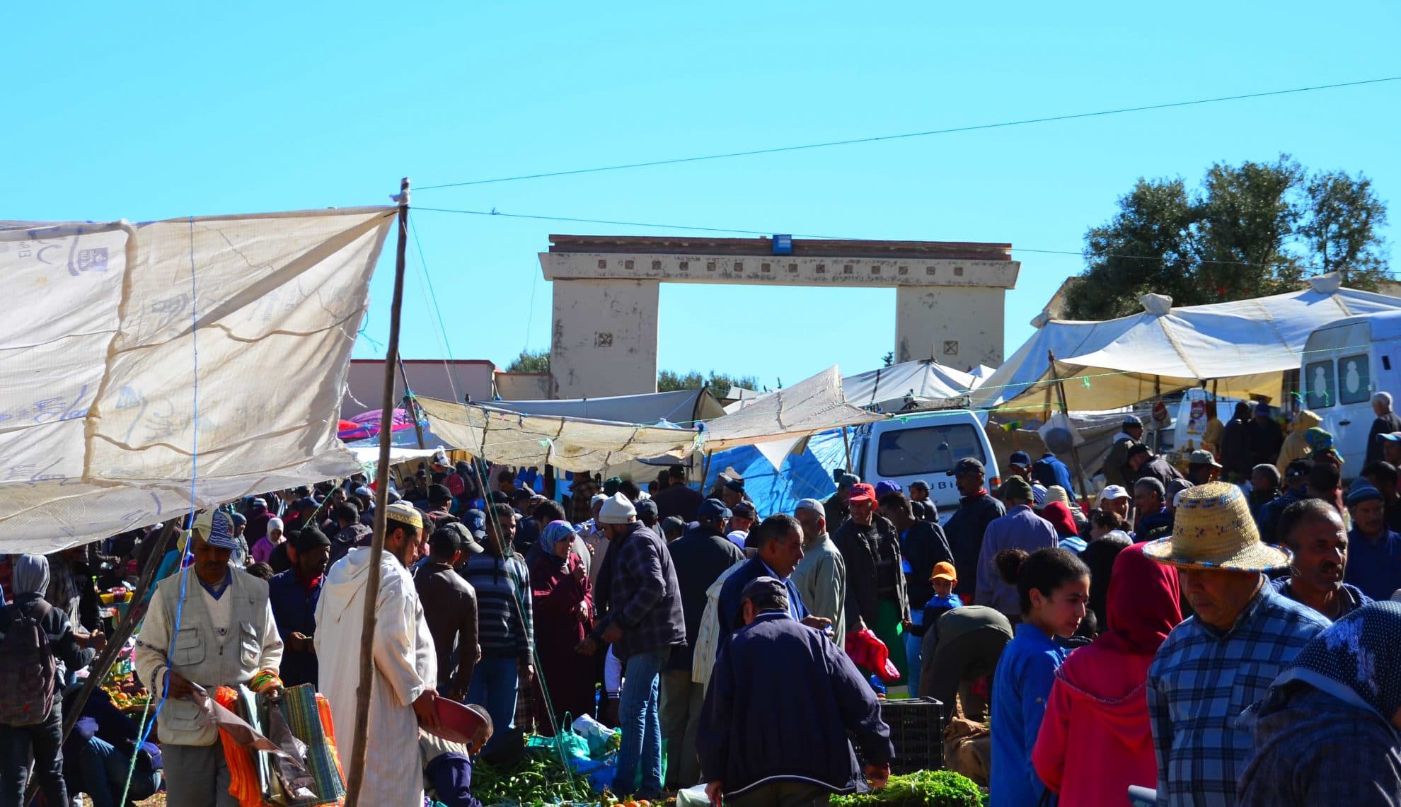 Bild från DinVinGuide