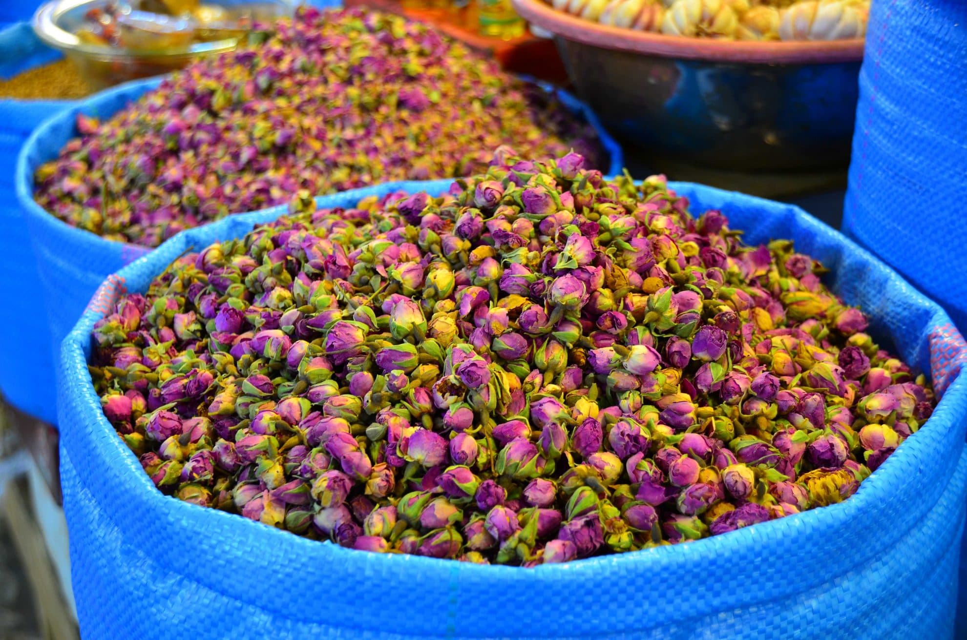 Bild från DinVinGuide