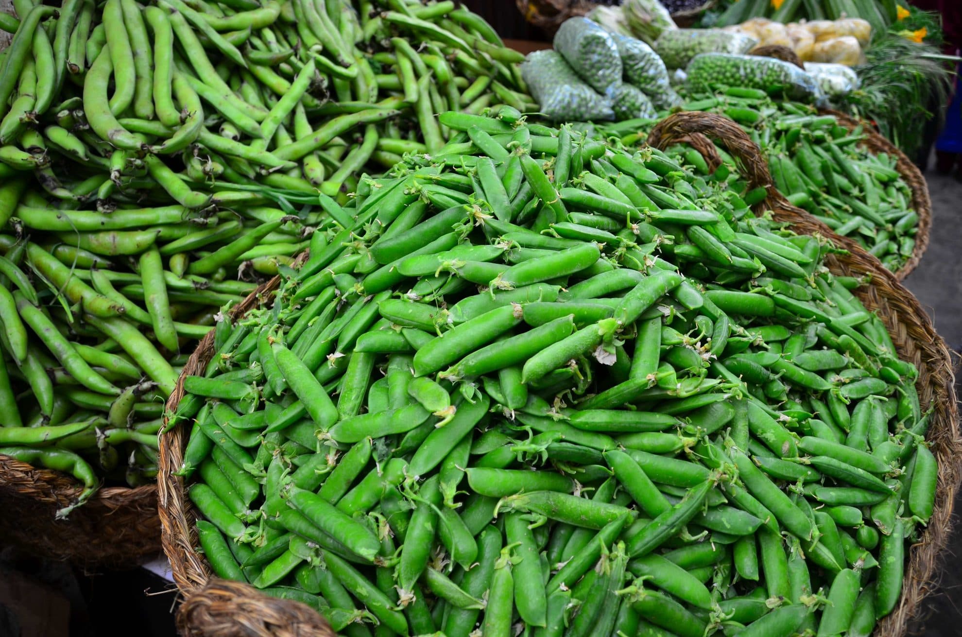 Marocko - bortanför Marrakesh 1