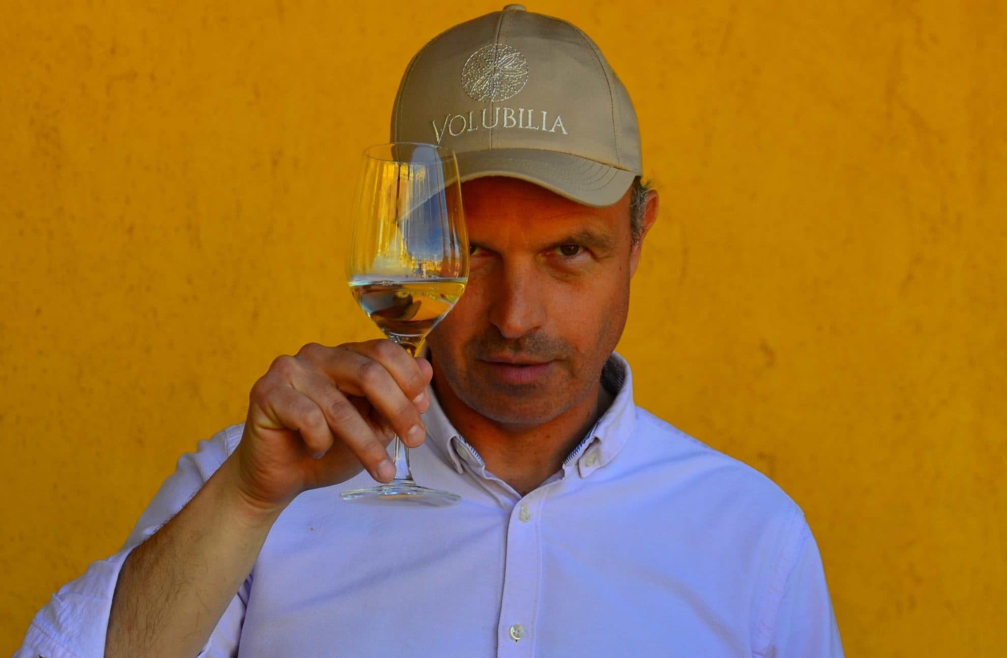 Bild från DinVinGuide