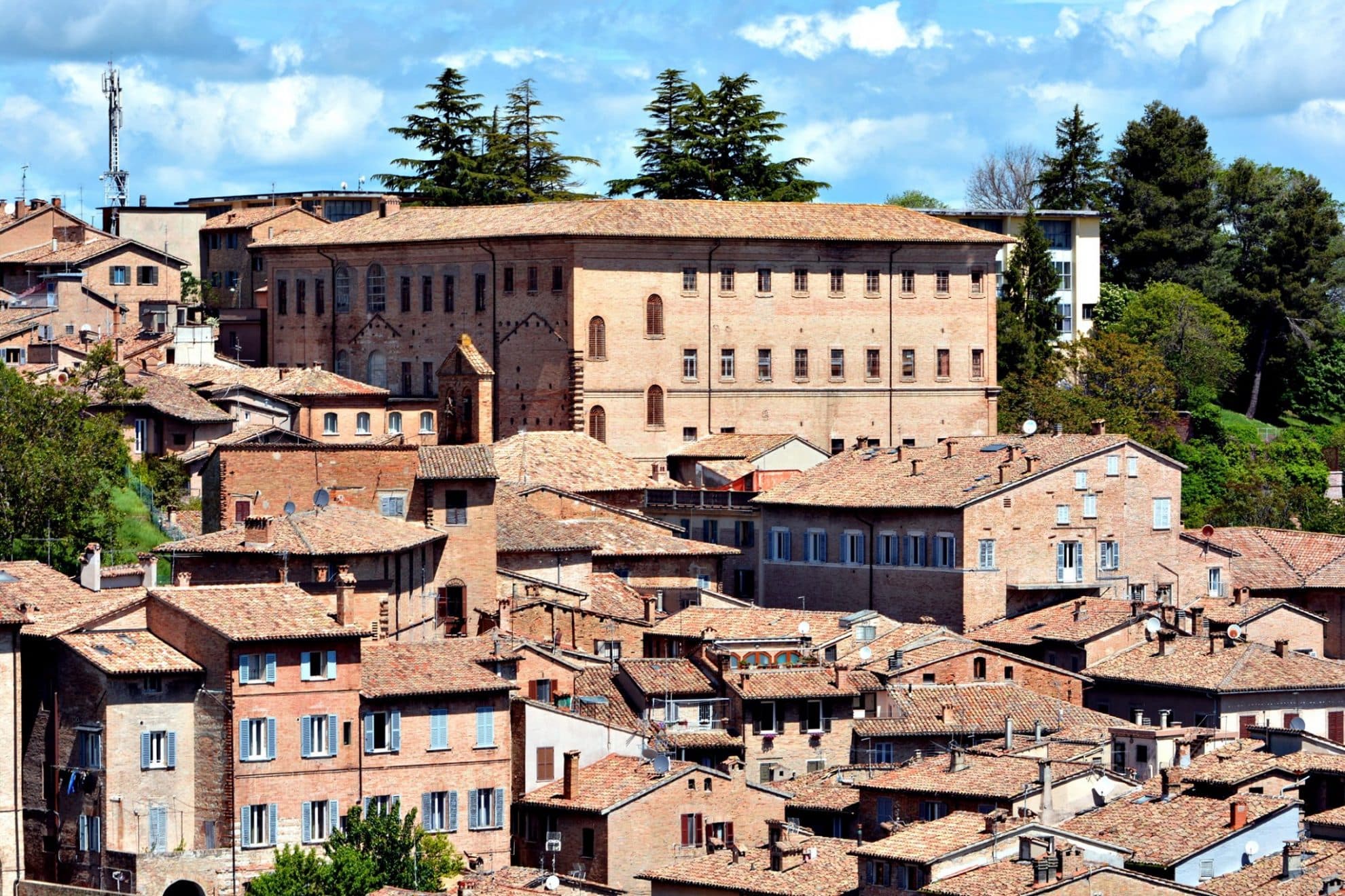 Marche, Marche - en glömd vinregion