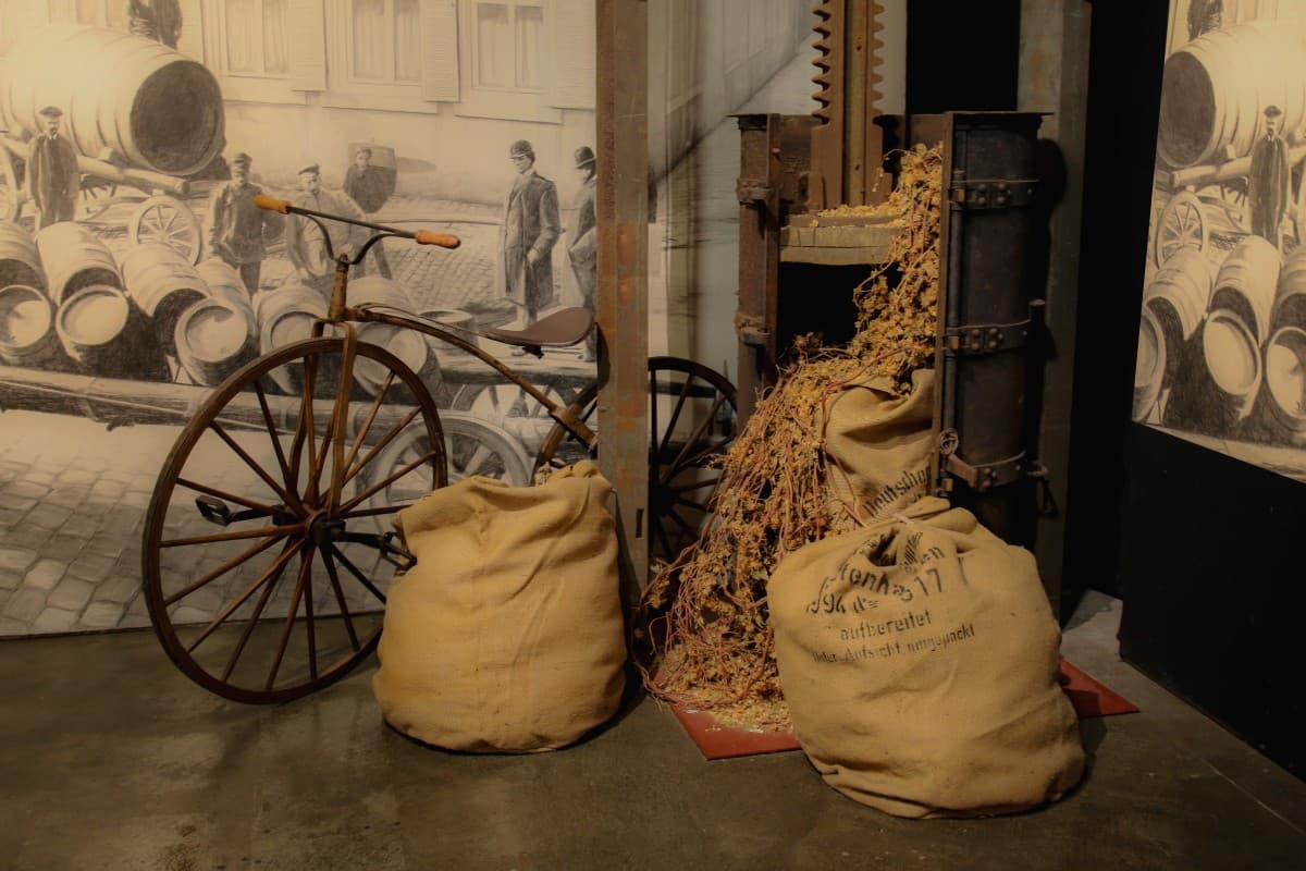 Bild från DinVinGuide