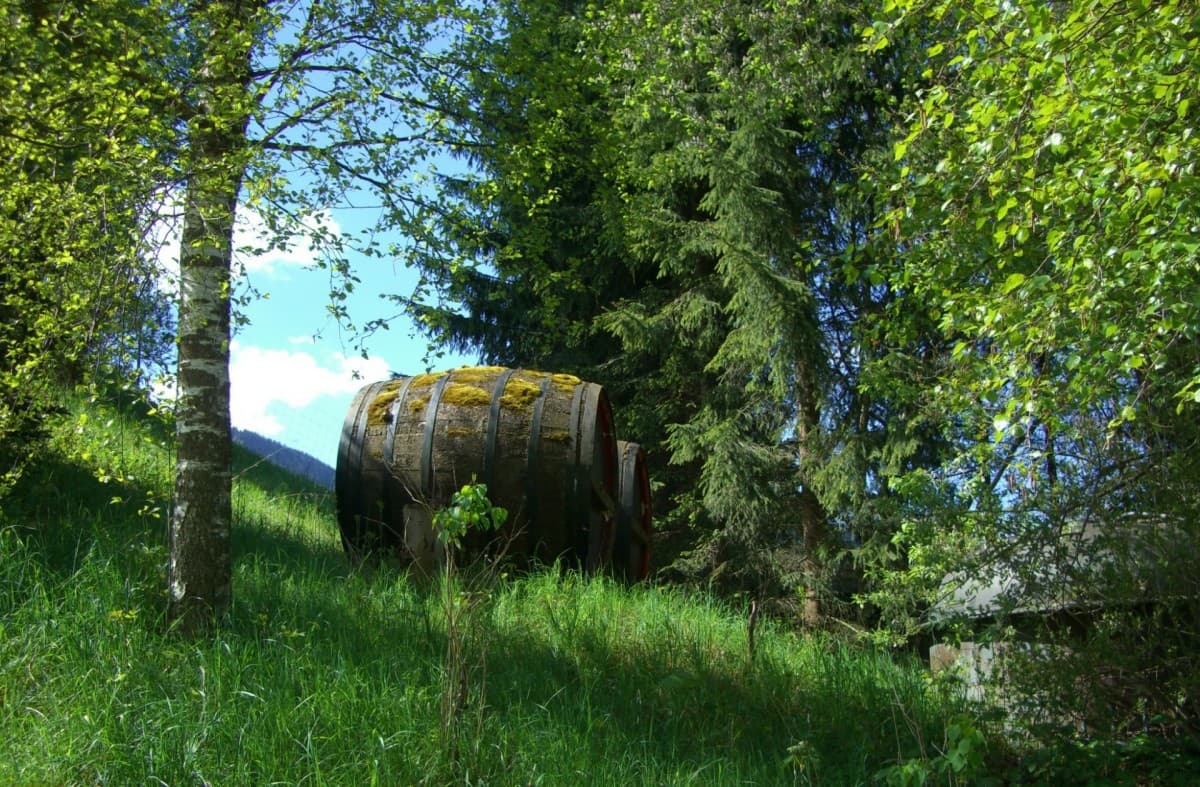 Bild från DinVinGuide