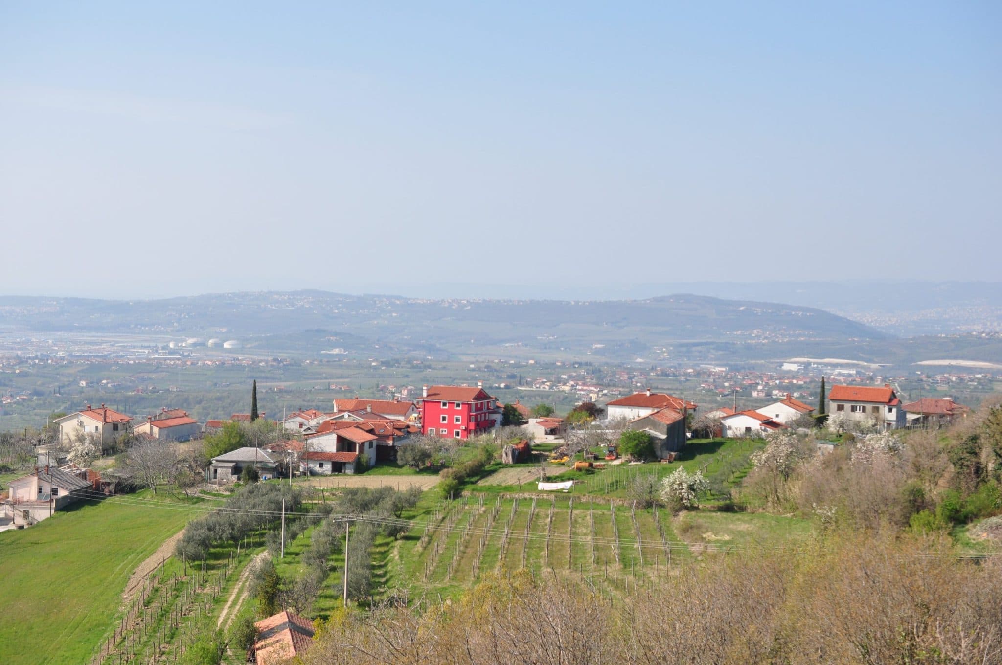 Upptäck viner från Kroatien och Slovenien