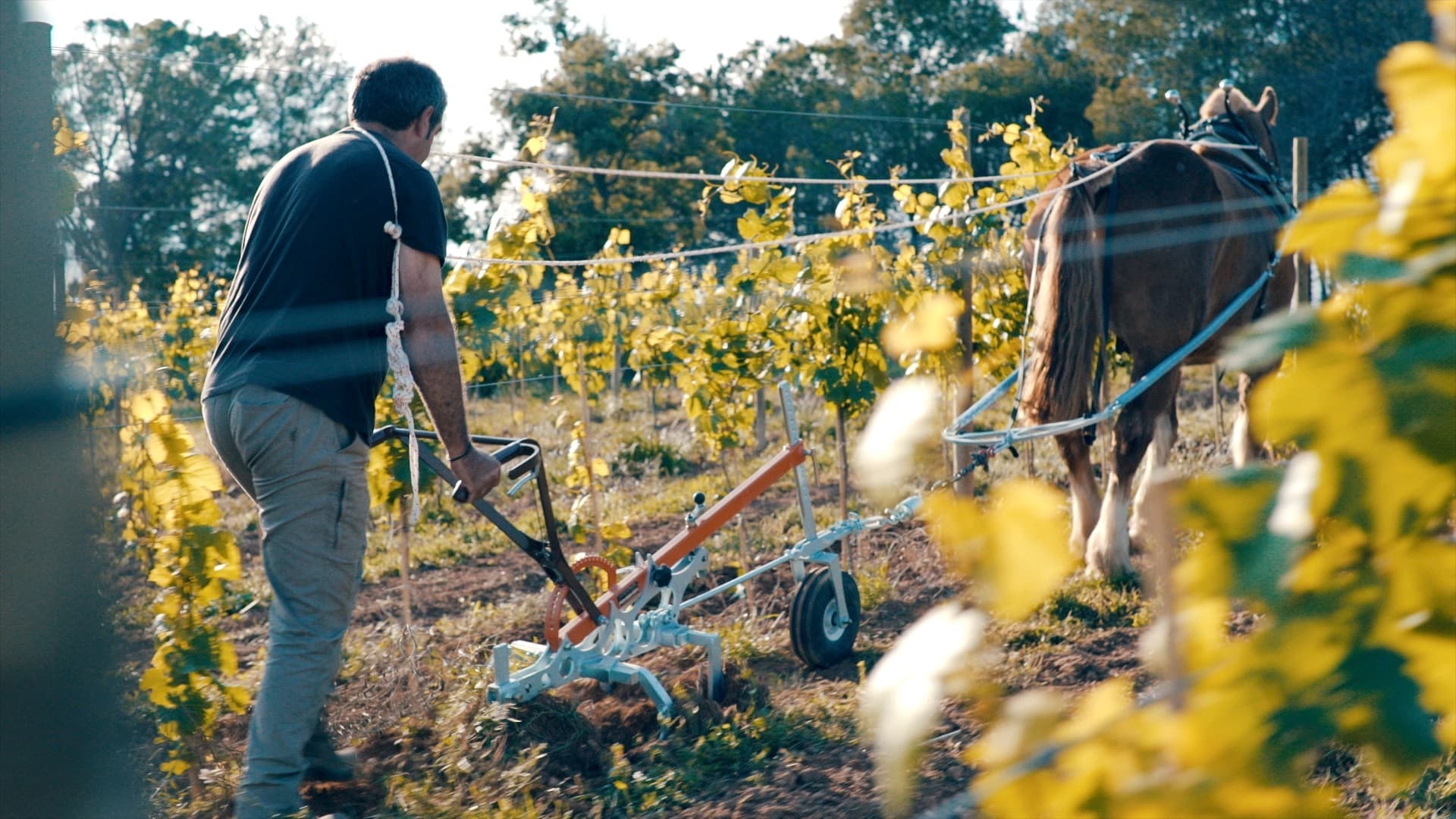 Gramona – spansk Corpinnat i världsklass