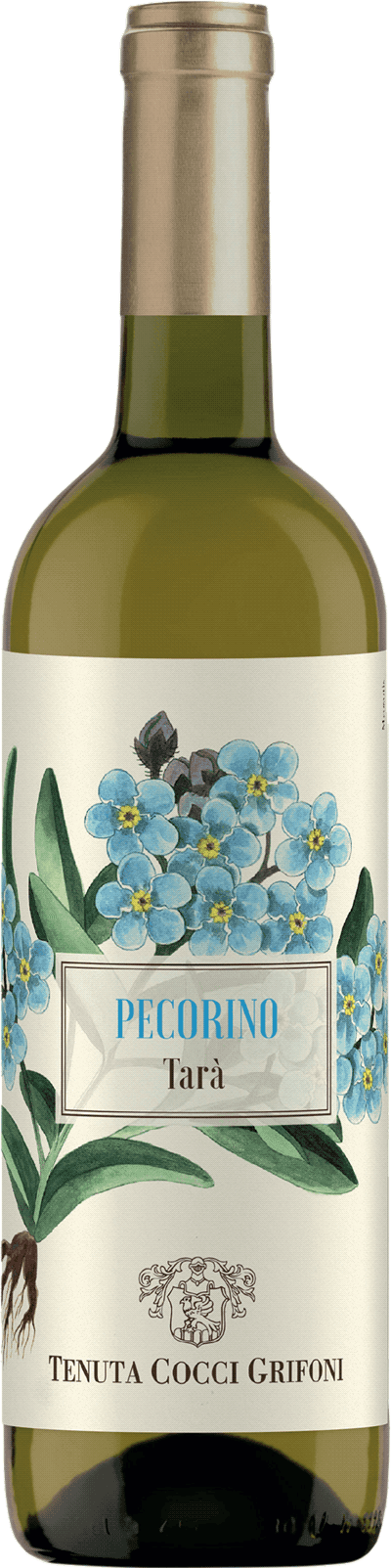 Tenuta Cocci Grifoni Pecorino Tarà Fredrik Schelin