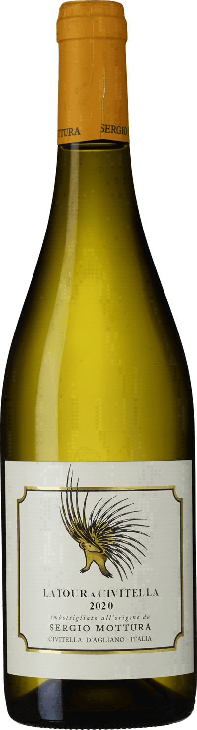 Bild på Sergio Mottura Latour a Civitella 2020