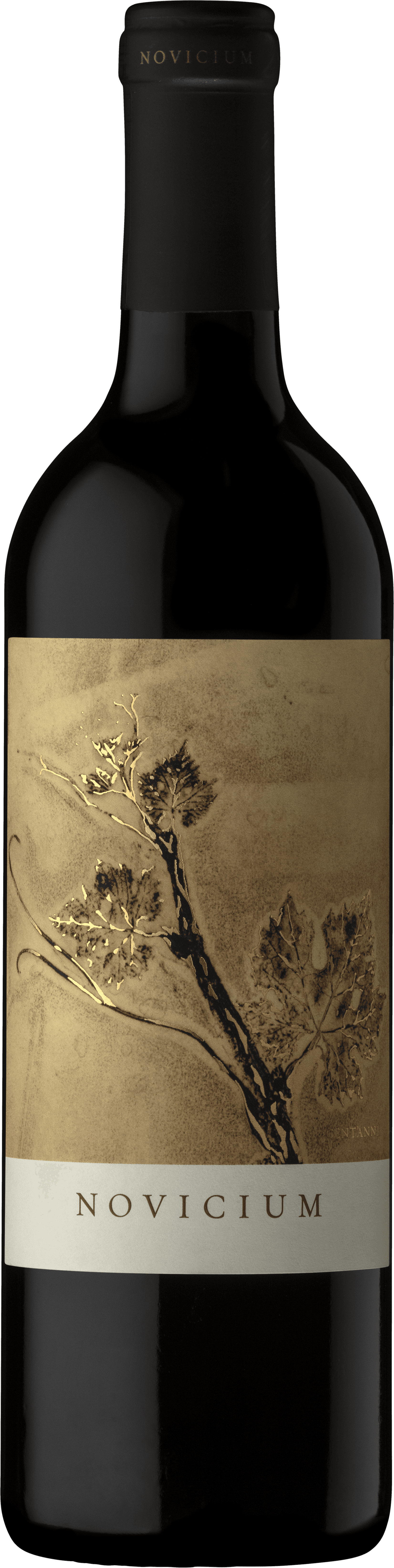 Bild på Novicium 2019