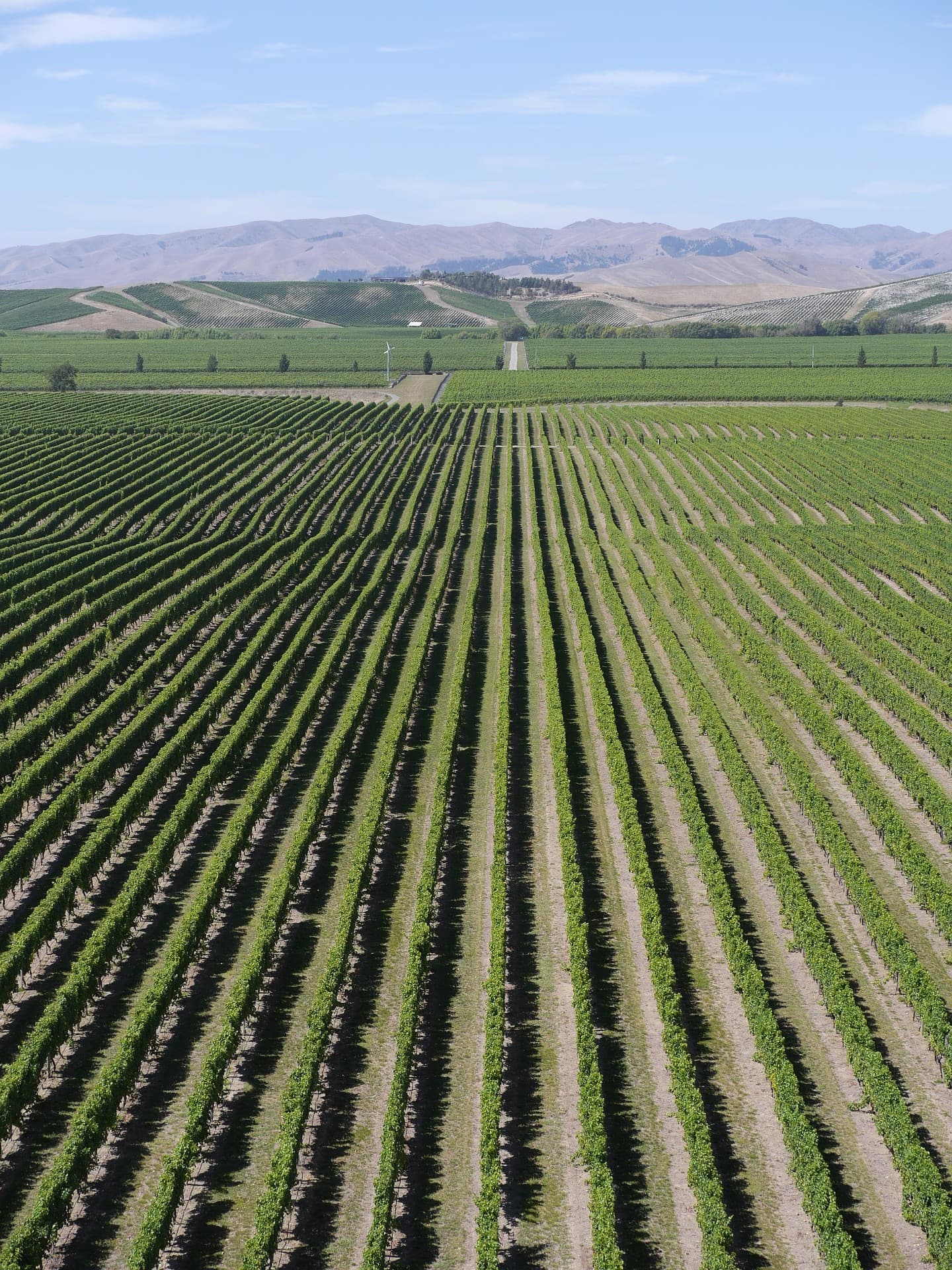 Sofias tips – tillfälligt sortiment 17 oktober 2025