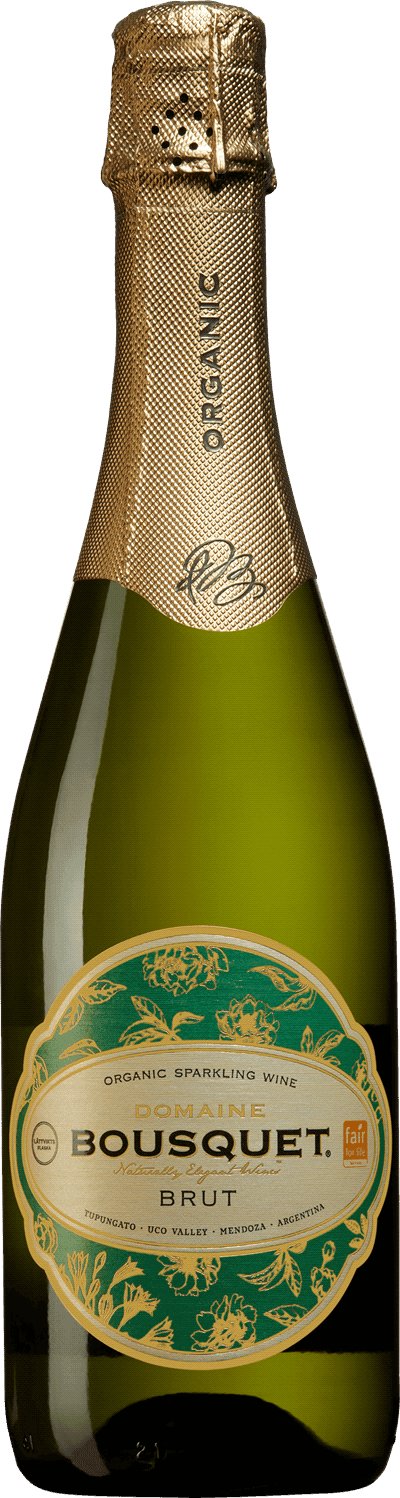 Bild på Domaine Bousquet White Brut