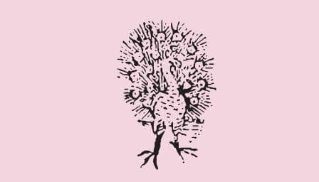 Bild från DinVinguide