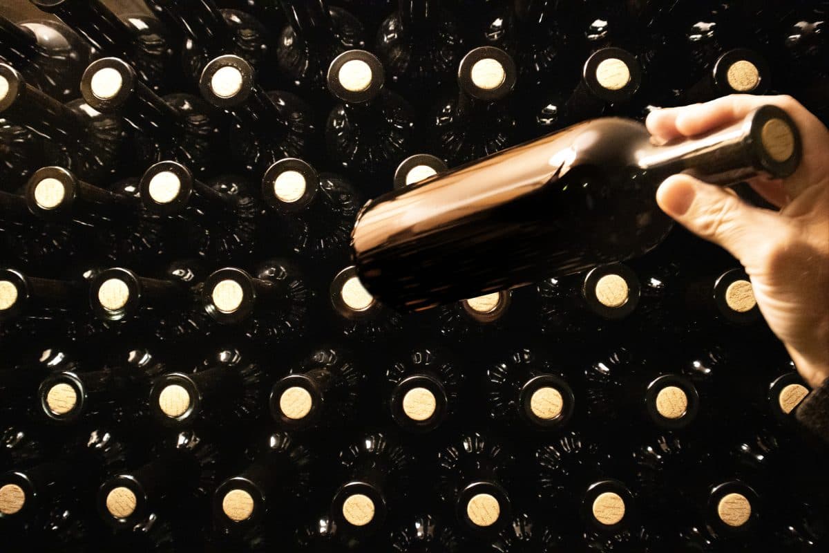 Sofias önskelista – sista minuten på hyllan