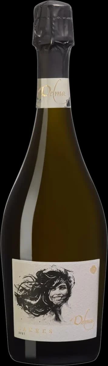 bild på Delmas Crémant de Limoux Sacres Brut 2022