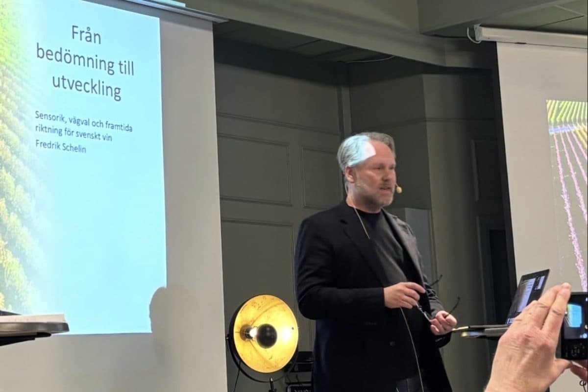 Svenskt vin blickar framåt