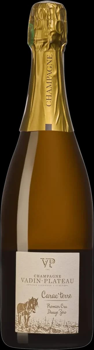 Bild på Vadin-Plateau Carac’terre Premier Cru Cumièr 2019