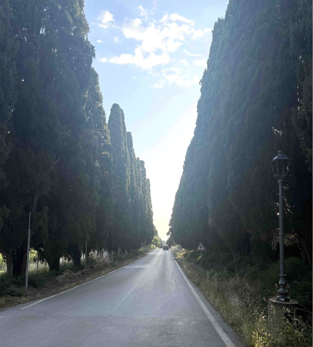 Bild på Bolgheri i blickfånget