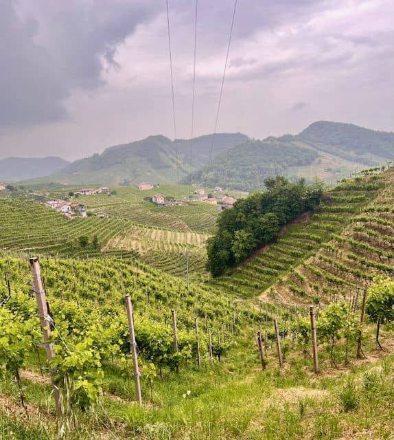 Prosecco Grand Cru