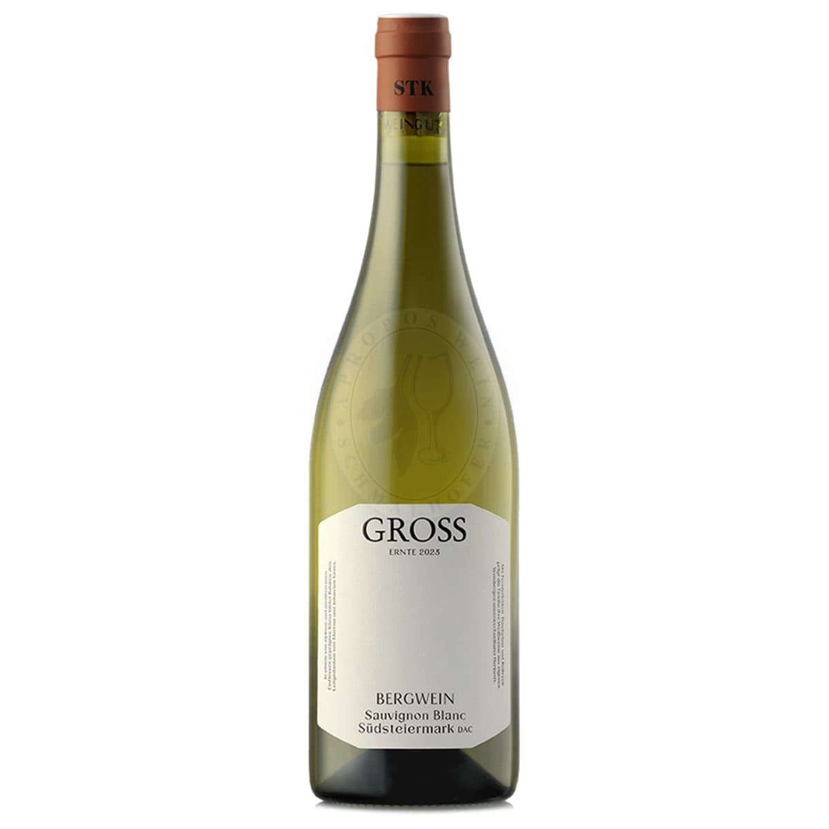 Bild på Weingut Gross Bergwein Sauvignon Blanc 2023