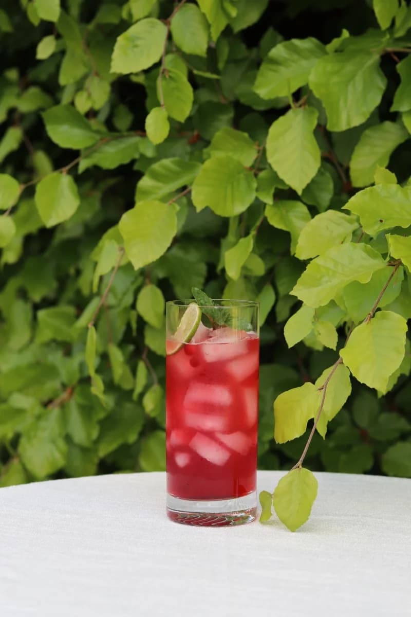 Bild på Cranberry Highball