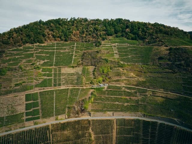 Ahr – vinresan för dig som älskar pinot noir