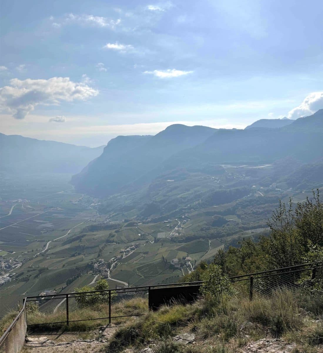 Bild på Vita viner vinner i Alto Adige 