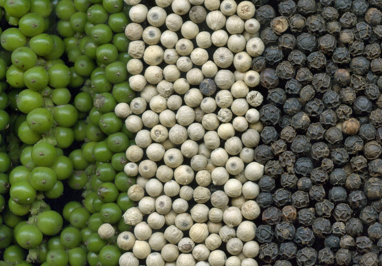 Kockens tips från Pär Stenberg – Våga peppra och gör en grönpepparsås!