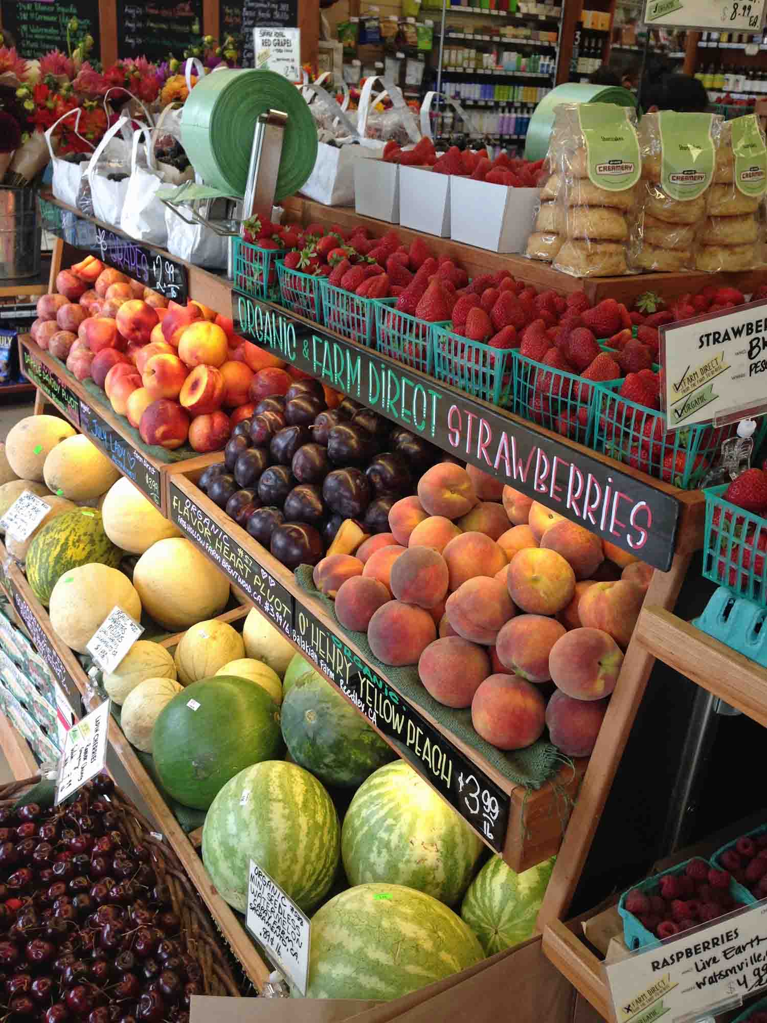 I BAREN med Madeleine Rapp – Barguide i San Francisco