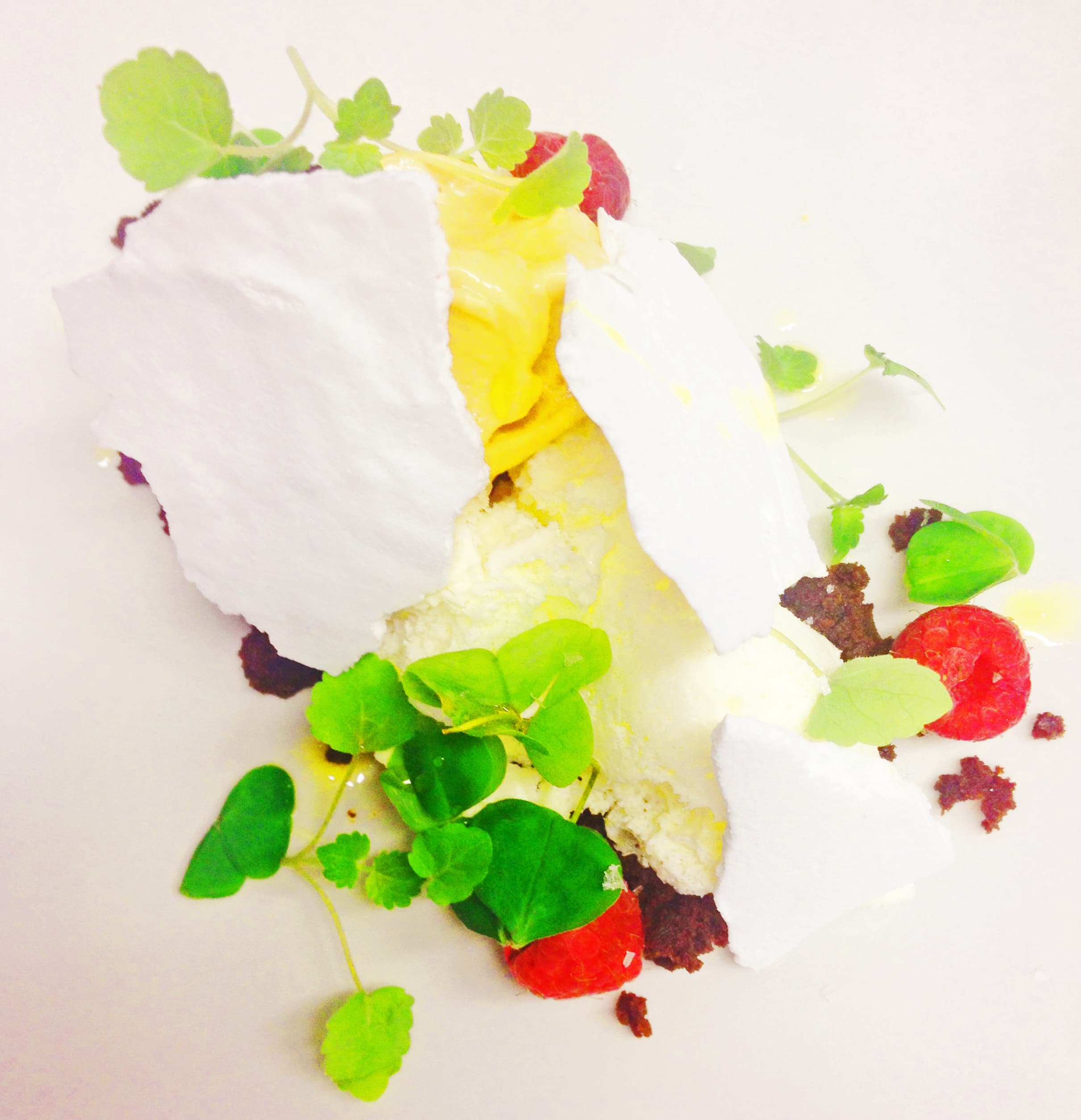 Kockens tips från Fredrik Gustafsson – Kolsyrad vit chokladmousse