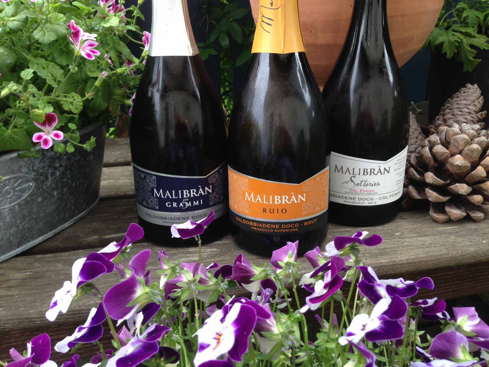 2014 års bästa Prosecco jag provat