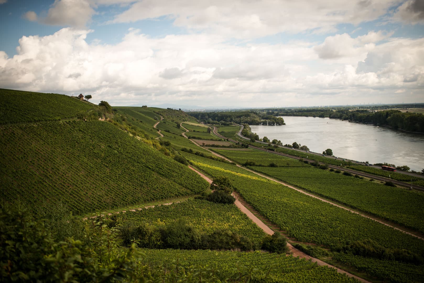 Det bästa av Tyskland Rheinhessen, Rheingau, Nahe, Mittelrhein & Mosel. Dinvinguide är på plats