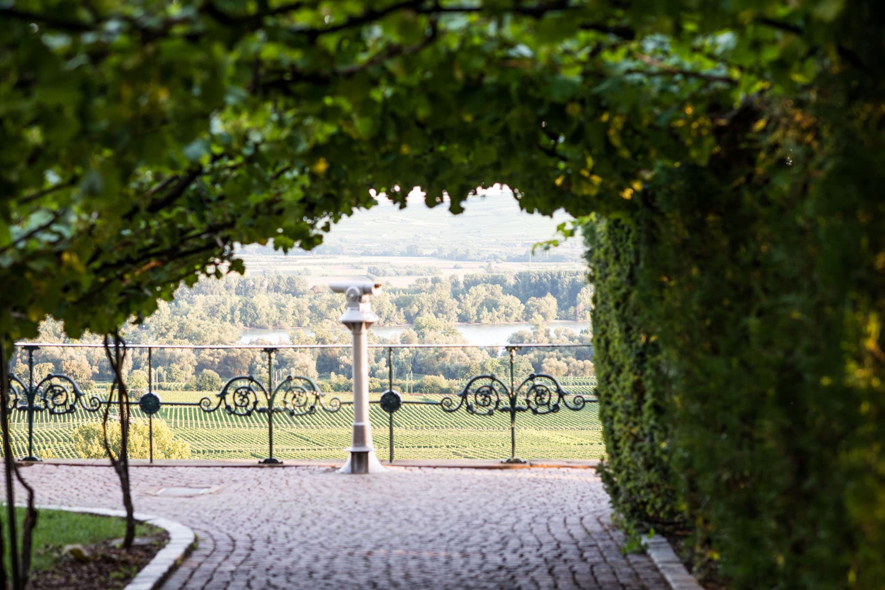 Tyska vinregionen Nahe – värt ett besök
