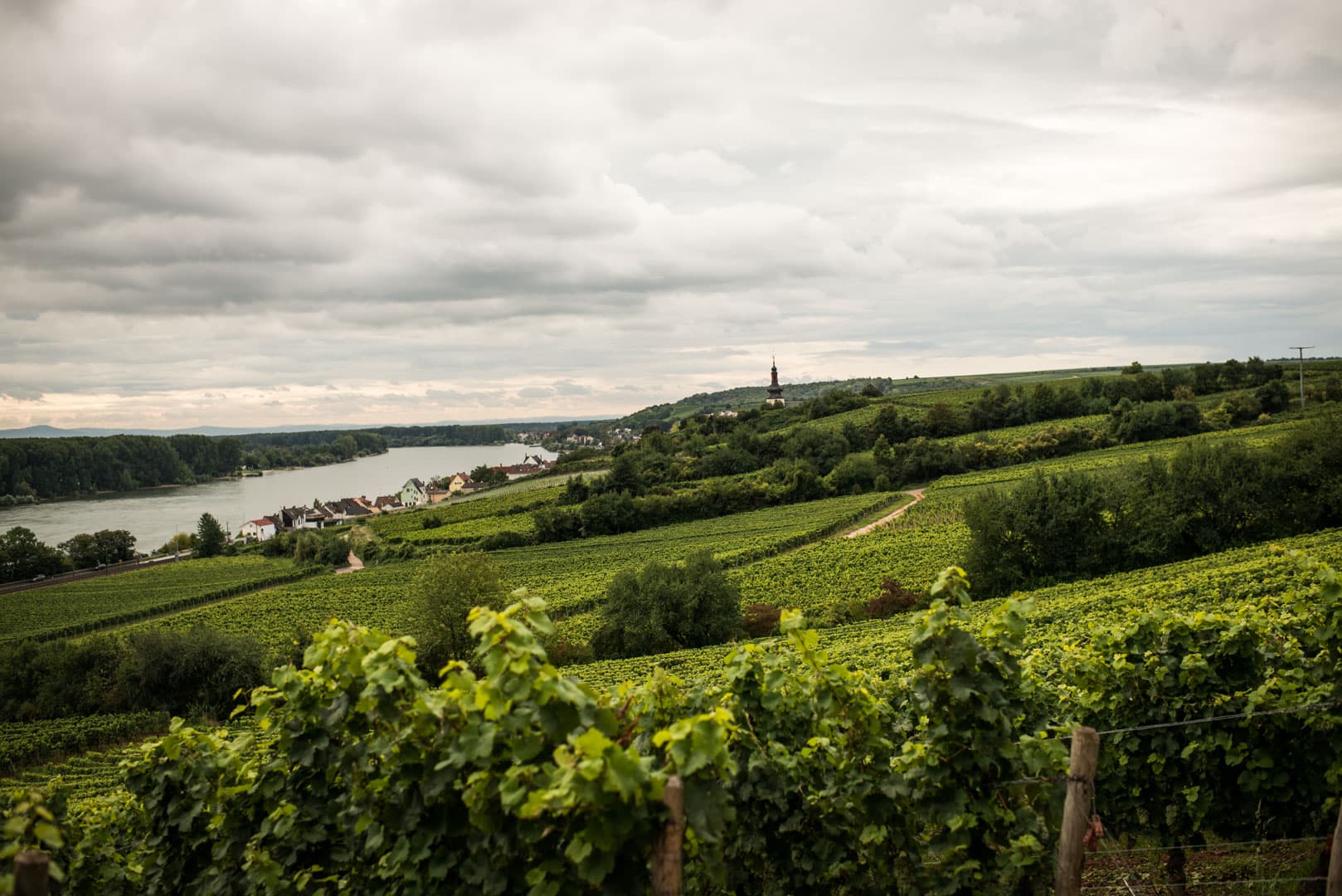 Tyskland – Mosel till Gravlaxen – S.A Prüm